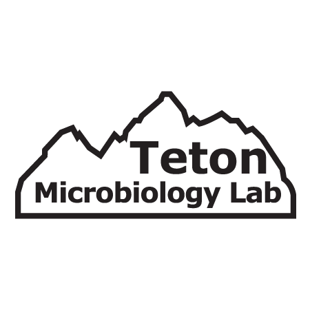 https://pixsym.com/wp-content/uploads/2019/01/Teton-logo-450.png