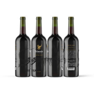 Digital Rendering of Wine Bottles